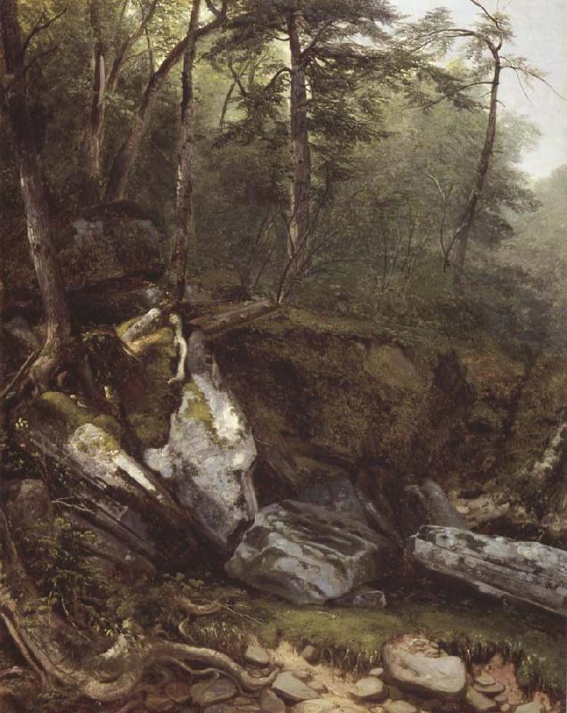 Asher Brown Durand Study from Nature rocks and trees in the Catskills Sweden oil painting art